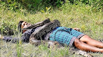 Giant python attack a boy in field | snake attack new video 