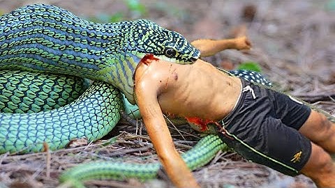 Giant python attack a boy in field | snake attack new video 