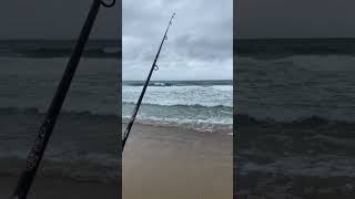 Fishing ? 2022 australia centralcoast