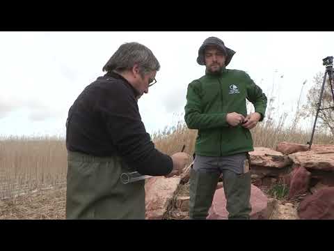 Humedales, mucho más que agua: episodio 4 - - La ciencia detrás de los humedales