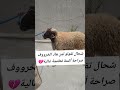 مزال الشناقة ديال العيد تيفاجؤنا#shorts