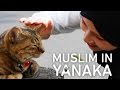 Muslim-friendly Sightseeing Spot Yanaka, the Cat Town