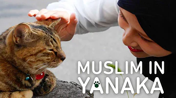 Is it haram to buy a cat?