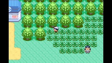 Live Shiny Seedot on Ruby after 12,064 REs (Phase 6)