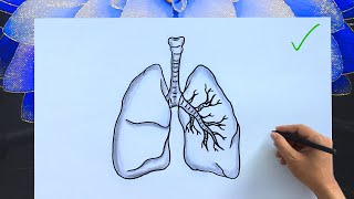 how to draw a human lungs easy anatomy diagram with labels lungs drawing