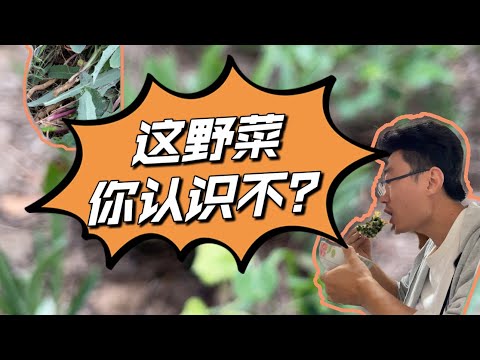 野菜配蒜汁，绝了！