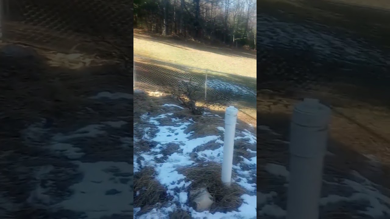 another happy customer 