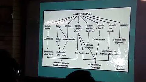 Cosa significa CTM in medicina?
