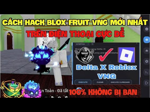 Cách Hack Blox Fruit Roblox trên iOS/PC: Bản Update AntiBan mới nhất Cách Hack Blox Fruit Roblox trên iOS/PC: Bản Update AntiBan mới nhất