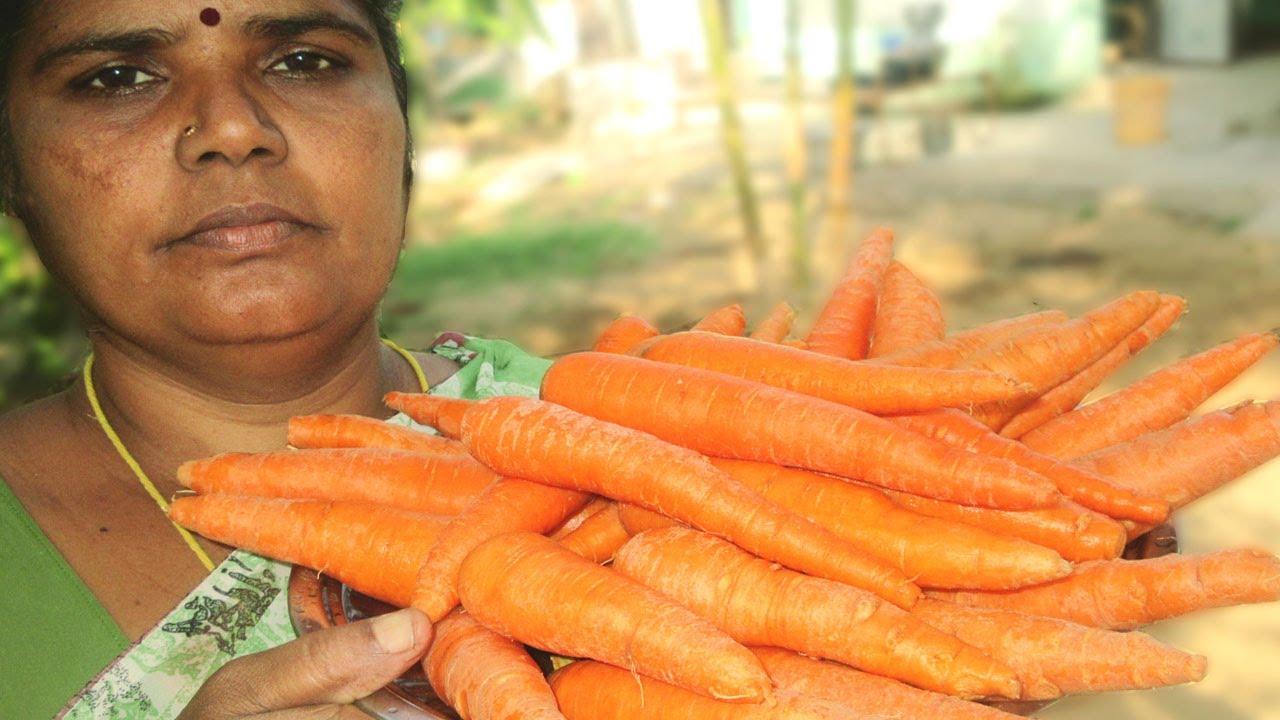 FRESH Carrot Recipe Cooking in My Village Prepared by Mummy VILLAGE
