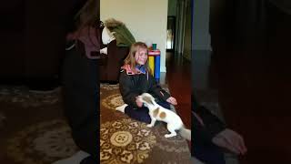 Mother Surprised Her Daughter with a Puppy