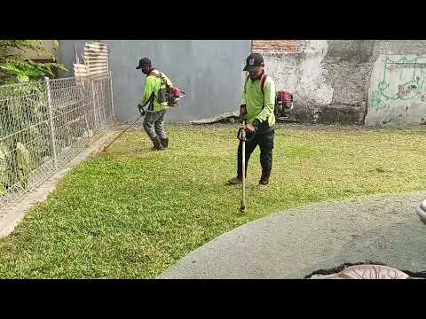 KEGIATAN HARI INI BERSAMA TIM GERASAK GERUSUK BABAT RUMPUT TAMAN @gendut28 
