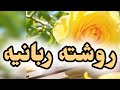 روشتة ربانية لقلبك المتعب لا تتجاوزها 