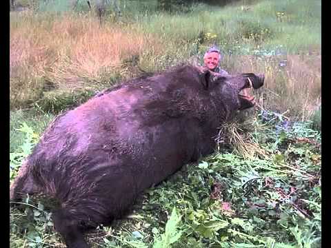 YouTube에서 УДИВИТЕЛЬНОЕ РЯДОМ.flv 보기