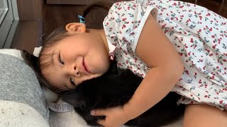 娘からの重すぎる愛情を拒否する猫　ラガマフィン　A cat that fights back against too heavy love from her daughter