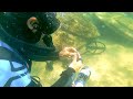 RARE &amp; DEADLY Snakes Found!! Metal Detecting UNDERWATER