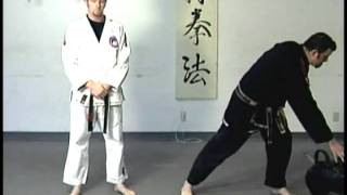Basic Kicks