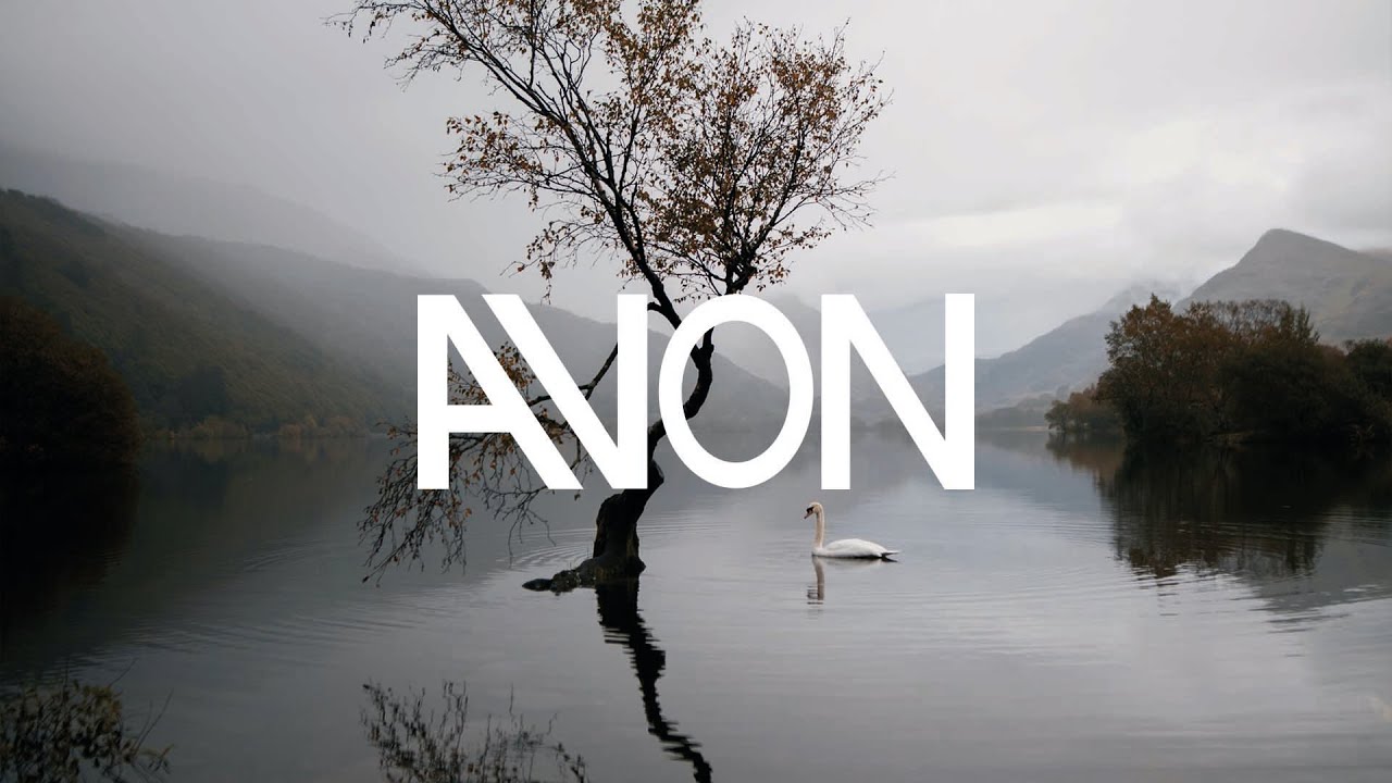 Bazanji - Quarantine and Chill