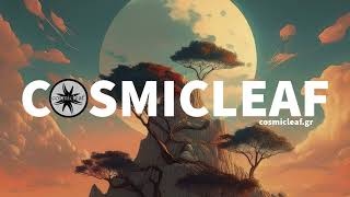 Potlatch - Serene Night