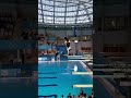 Mammoth, cow and bull at the olympic 🤣 #trending #ai #animals #shorts