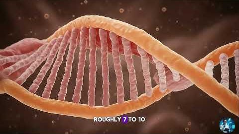 Vulva or Vagina? Why So Many People Get It Wrong