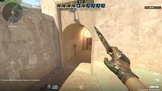 Counter-Strike 2 4K ★ Skeleton Knife | Boreal Forest | ★ Moto Gloves | 3rd Commando Company