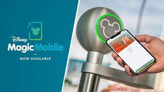 How to add Disney World ticket to iPhone or Apple Watch screenshot 4