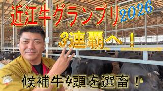 北美津久か！知恵久か！福之鶴か！美国桜か！立ち姿から目利き！三連覇します‼︎#近江牛グランプリ2026