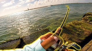 The JETTY was LOADED with these fish!
