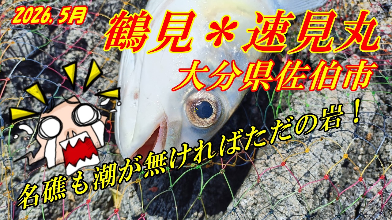 島を釣る Tsurumi Hayami Maru! Will we be able to catch a giant black sea