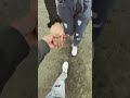 mohabbat mohabbat hui hai status bf❤️gf🥰#new2025 #shortvideo#girlfriend #whatsapp_status