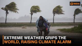 Extreme weather puts the planet in peril more news DD India Newshour 9 PM IST