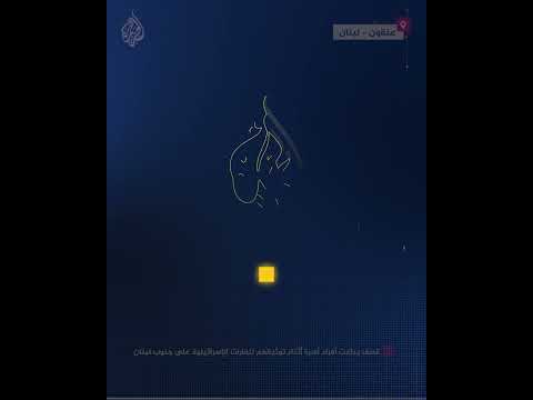 قصف يباغت أفراد أسرة أثناء توثيقهم للغارات الإسرائيلية على جنوب لبنان