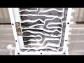 500匹のアリを飼う
