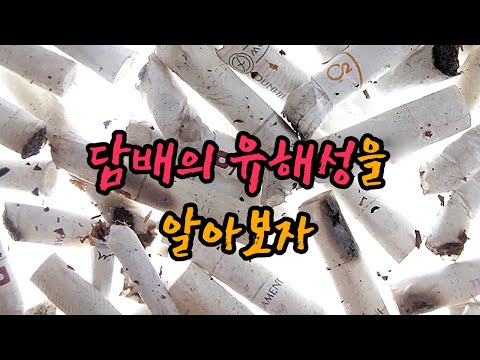 담배는 인체에 어떤 영향을 미칠까? / YTN 사이언스