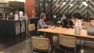 Bettys Office Public