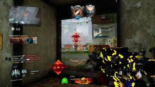 5 on Multi -Locus