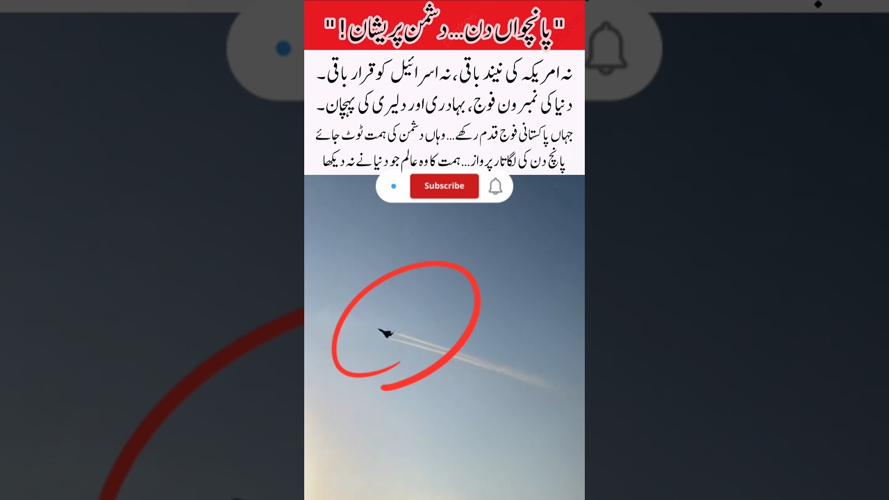 "Pakistani Falcons Soaring High 