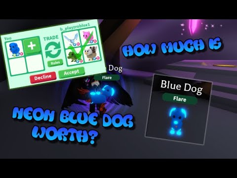 How Much Is A Neon Blue Dog Worth Adopt Me Roblox Youtube