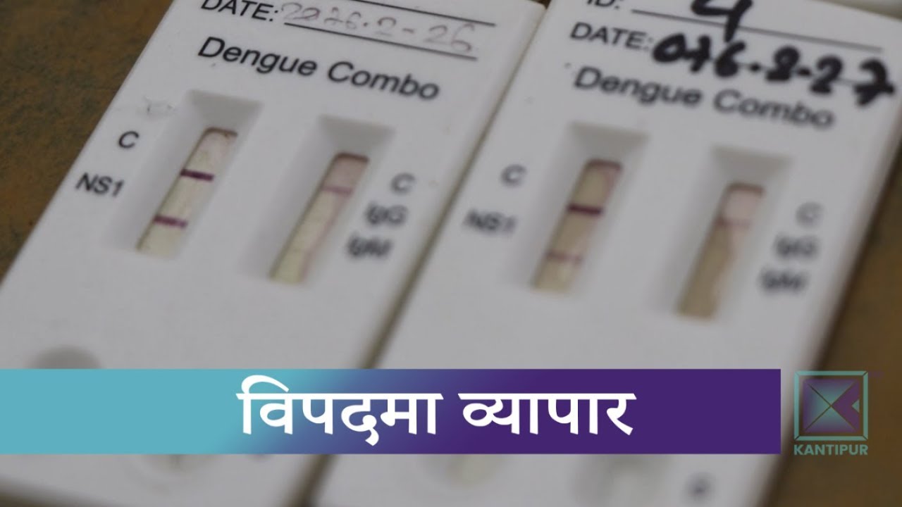 महामारीको मौका छोपी डेँगुको संक्रमण जाँच्ने कीटमा कालोबजारी । Kantipur Samachar news headlines uk