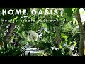 Creating A Garden Oasis At Home | How To Start A Home Garden | Tips To Create Your Tropical Garden