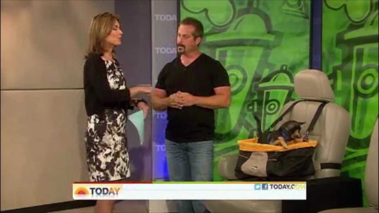 Celebrity Pet Expert Harrison Forbes on The Today Show