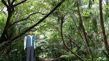 Predator Cloacking Effect Shader test1