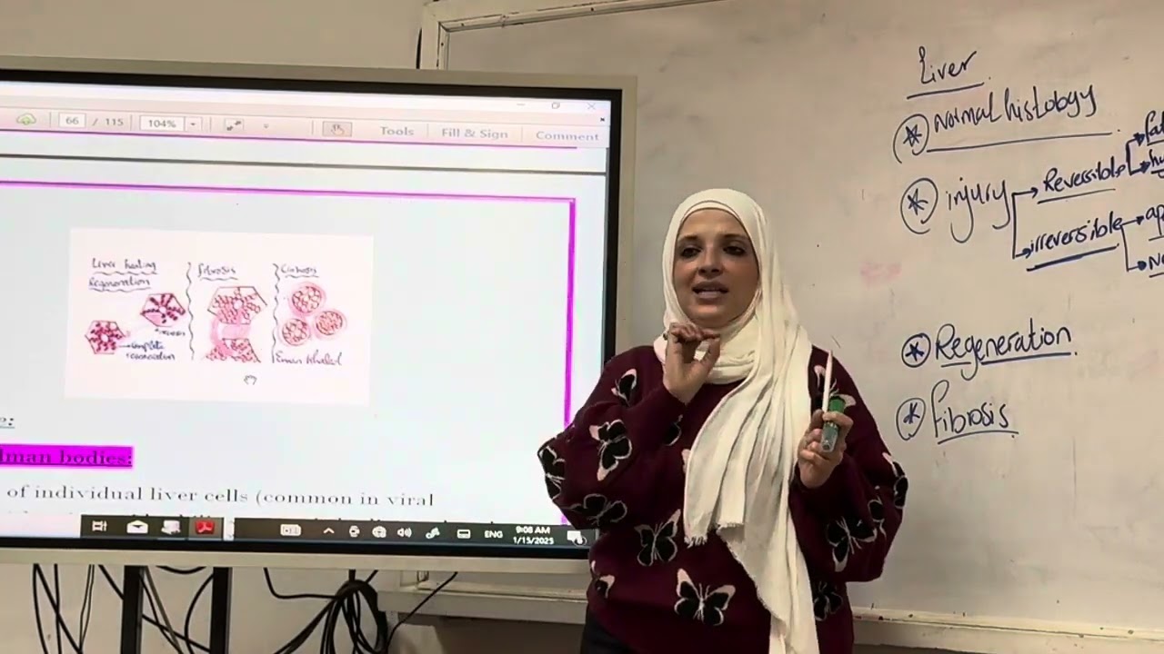 4# Liver Crash course Dr Eman Khaled 24-25