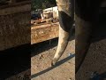 Prepare the concrete line