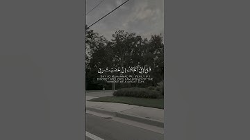 قران كريم 🌸🌺 ارح سمعك 🥹🥹 #اكسبلور #قران_كريم #تصويري #fyp #foryou #follow #viral