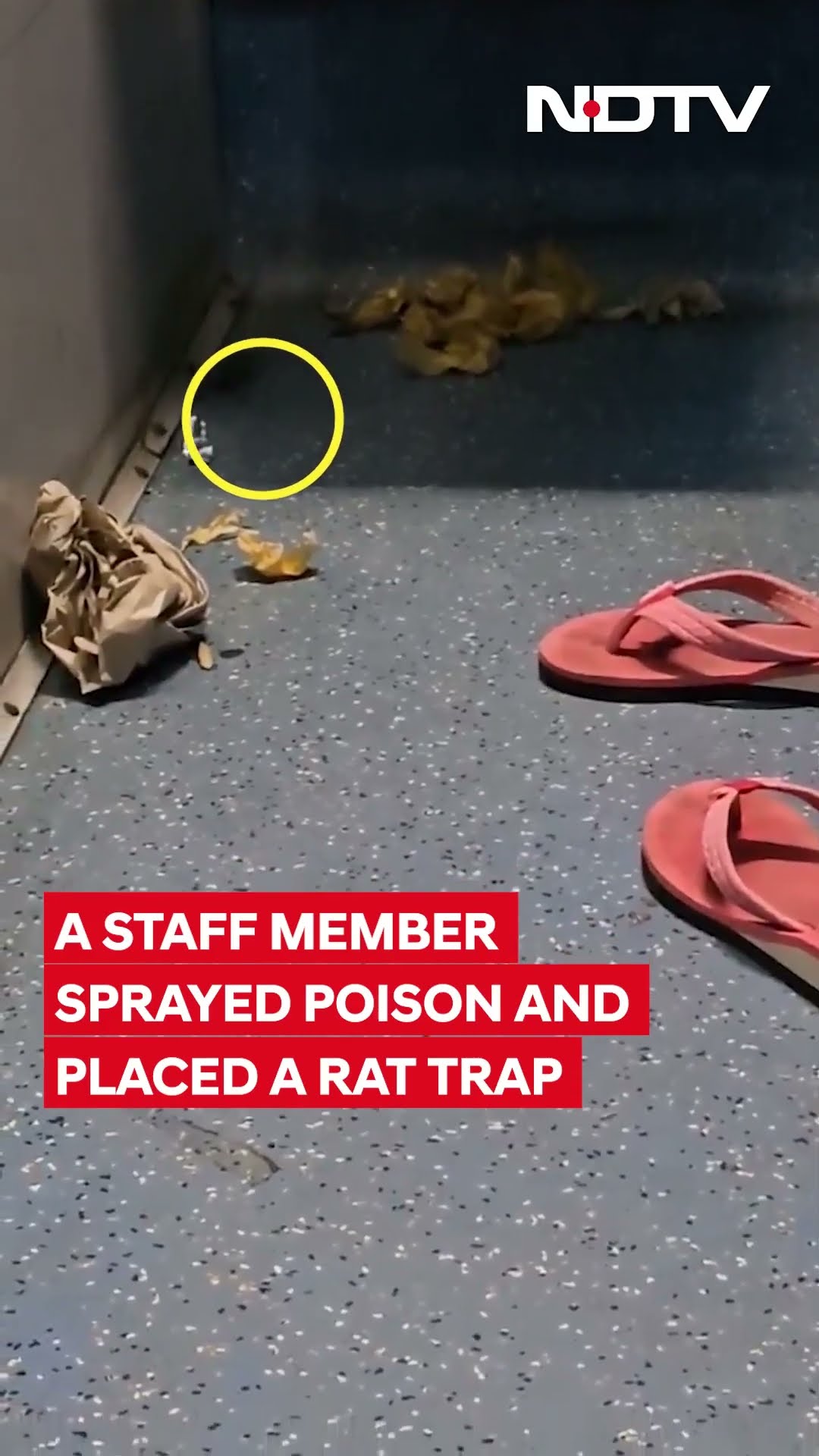 Man Shares Video Of Rats Crawling In South Bihar Express's AC Coach, Railways Reacts