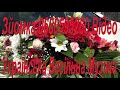 Музика 456 Українські Весільні Пісні 0680595280 Відеооператор Відеозйомка Фотограф Весілля 2021 рік