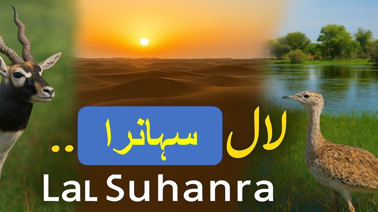لال سہانرا پارک | pakistan travel documentary | lal sohanra park | best ...