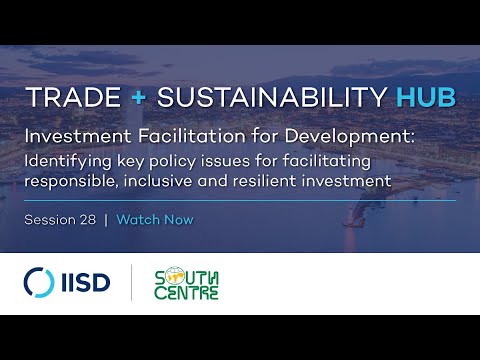 Webinar | Investment Facilitation for Development: Identifying Key Policy Issues